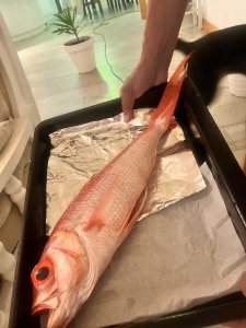 bien cuisiner le poisson. Vieille rouge dans un plat à four, ile maurice